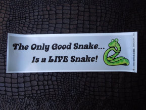 repstylin_captive_bred_designer_morph_pet_snakes_for_sale_online005004.jpg